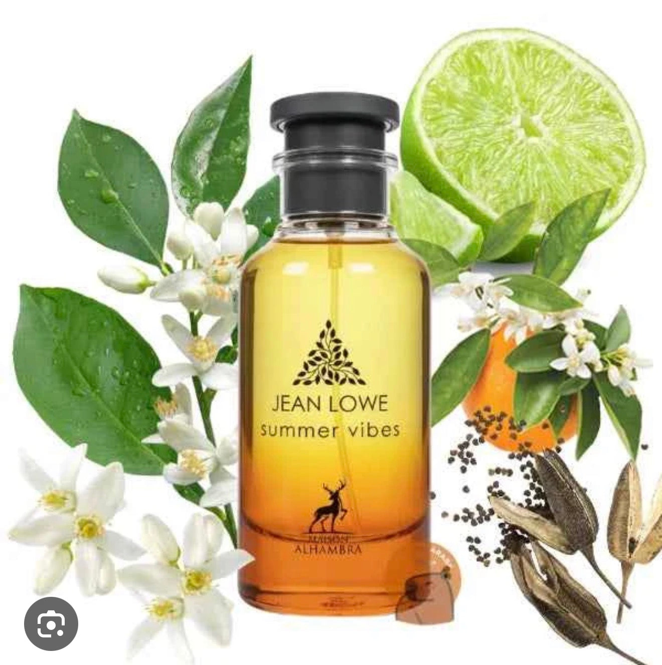 Summer Vibes Maison Alhambra pour homme et femme 100ml